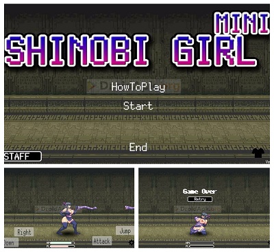 shinobi girl true game