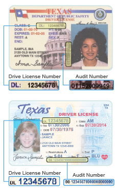 search drivers license number texas